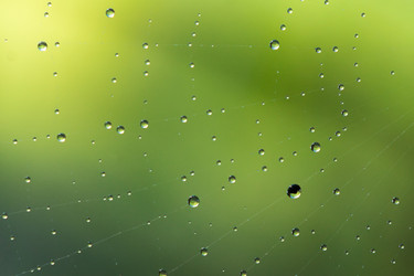 Similar image 22054425