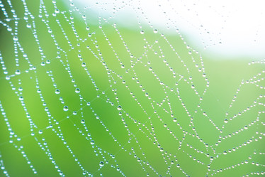 Similar image 22054426