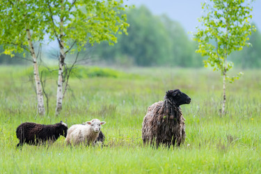 Similar image 22054427