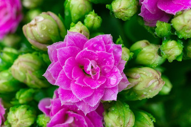 Similar image 22054430