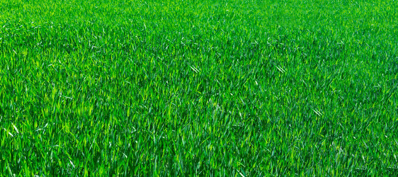 Similar image 22054431