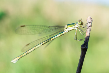 Similar image 22054441