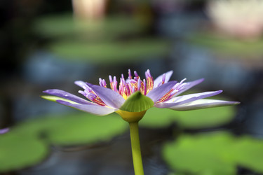 Similar image 22053824