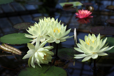 Similar image 22053825