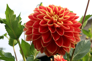 Similar image 22053828