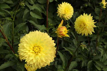 Similar image 22053829