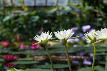 Similar image 22053830