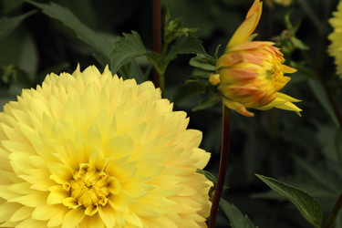 Similar image 22053831