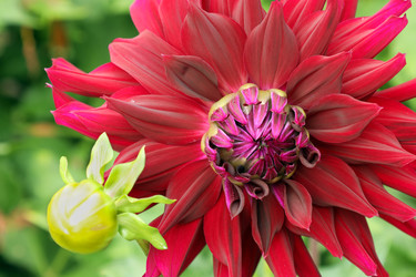 Similar image 22053833