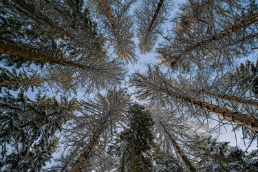 Similar image 22056062