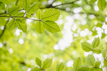 Similar image 22054194