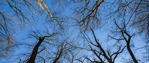 Similar image 22054196