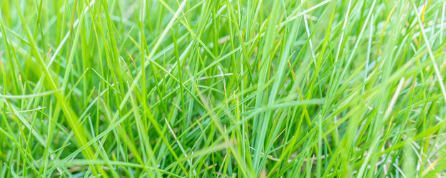 Similar image 22054197