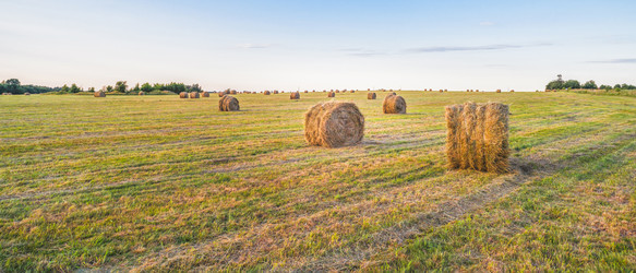 Similar image 22054198