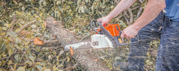 Similar image 22054200