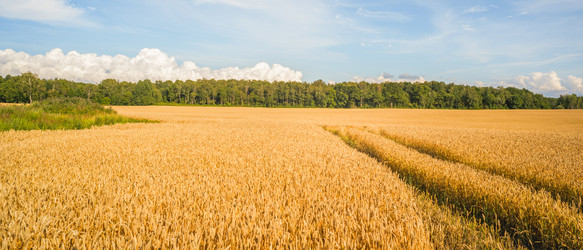 Similar image 22054201