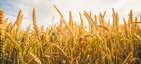 Similar image 22054202