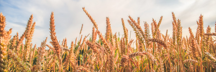 Similar image 22054203