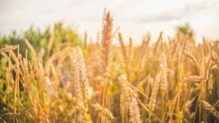 Similar image 22054204