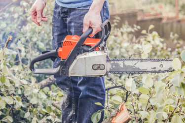 Similar image 22054205