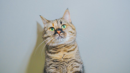 Similar image 22054206