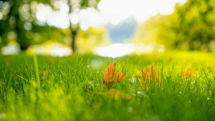 Similar image 22054210