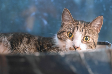 Similar image 22054213