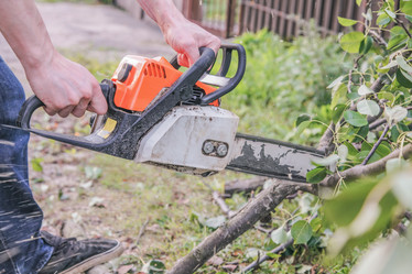 Similar image 22054214