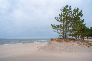 Similar image 22054219