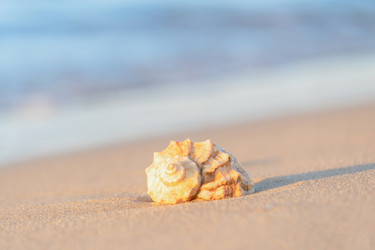 Similar image 22054221