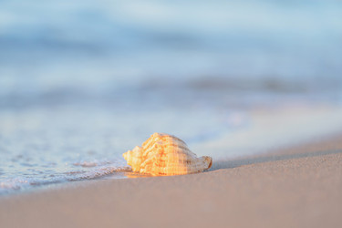 Similar image 22054222