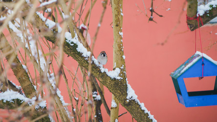 Similar image 22054223