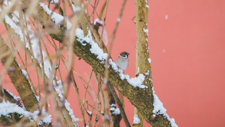 Similar image 22054224