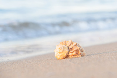 Similar image 22054225