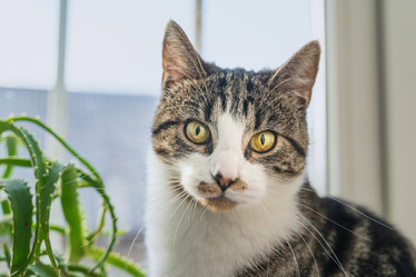 Similar image 22054227