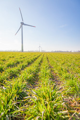 Similar image 22054392