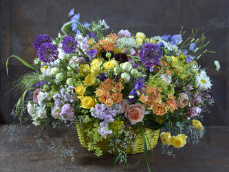 Similar image 22055275