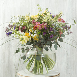 Similar image 22055299