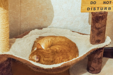 Similar image 22054240