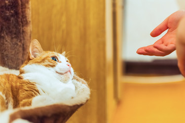 Similar image 22054241