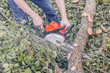 Similar image 22054244