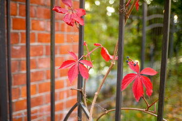 Similar image 22054247