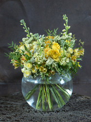 Similar image 22055015