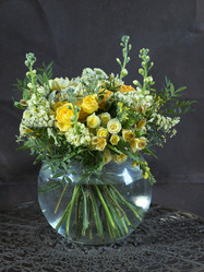 Similar image 22055016