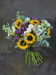 Similar image 22055022