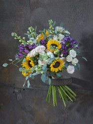 Similar image 22055023