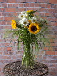 Similar image 22055095