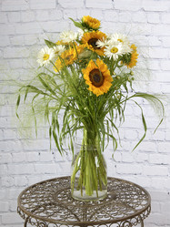 Similar image 22055100