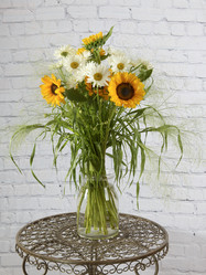 Similar image 22055101