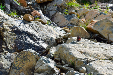 Similar image 22054641